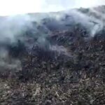 ನ್ಯಾಮತಿ ತಾಲ್ಲೂಕು ಯರಗನಾಳ್ ಗ್ರಾಮದಲ್ಲಿ ಮೆಕ್ಕೆಜೋಳದ ರಾಶಿ ಬೆಂಕಿ ಆಕಸ್ಮಿಕದಿಂದ ಸುಟ್ಟು ಭಸ್ಮ.